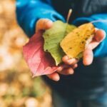 November 2023 Newsletter