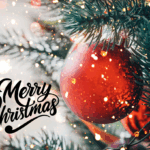 December 2024 Newsletter