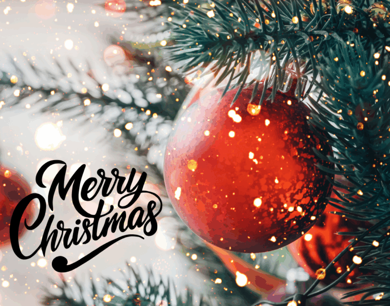 December 2024 Newsletter